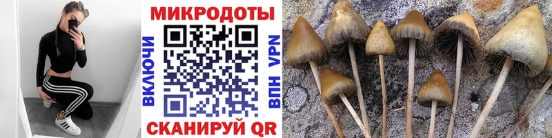 даркнет сайт  Урень  Галлюциногенные грибы Psilocybine cubensis 